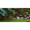 Superthrive Plant Vitamin Solution, 1 Gal – Boosts Growth & Reduces Shock, Ideal for All Gardens