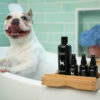 Variety Pack - Premium Grooming Spray
