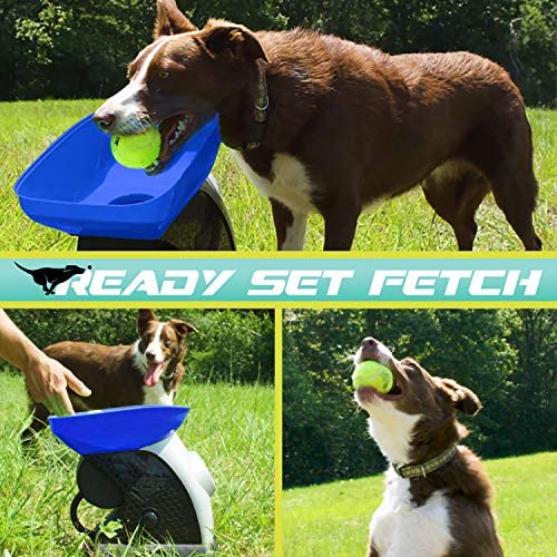Franklin Pet Automatic Tennis Ball Launcher Dog Toy with Adjustable Distance & Angles, Includes Power Adapter & Tennis Balls